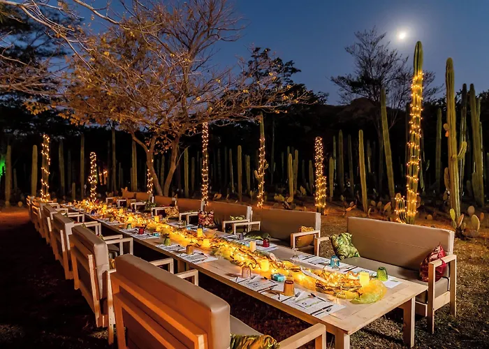 Jw Marriott Guanacaste 5*